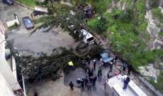 النشرة: انهيار حائط وبعض الاشجار في حي "كفرشوبا" على طريق المية ومية في صيدا