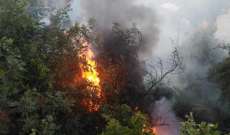 الدفاع المدني: إخماد حريق نفايات وأشجار في مستيتا وآخر شب بأعشاب في الجديدة