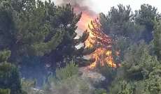 الدفاع المدني يواصل العمل على اخماد الحريق المندلع في محمية جبل موسى