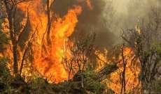 حكومة كندا تخصص 15 مليون دولار للمساعدة في مكافحة حرائق الأمازون 