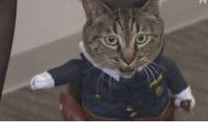 تعيين قطة مديرة شرطة تكريما لدورها في إنقاذ شخص