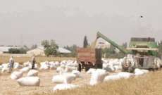 المدير العام للحبوب: المخزون من القمح يكفي لبنان لمدة شهر او شهر ونصف