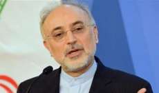 صالحي: إيران تمضي إلى الأمام سريعا في مجال محركات الدفع النووي