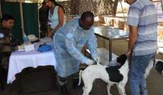 الكتيبة الهندية في اليونيفيل نظمت حملة تطعيم للحيوانات الأليفة في سوق الخان