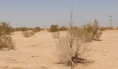 خبراء إیرانیون یبتکرون تقنیة للحفاظ على النظام البيئي الصحرواي