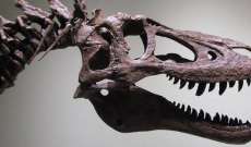 عرض ديناصور للبيع على موقع "إيباي"