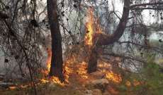 رئيس بلدية القبيات:الحريق في غابات المنطقة مفتعل وامتد على مساحة 700 ألف متر