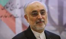صالحي: إيران يمكنها إعادة تخصيب اليورانيوم إلى 20 في المئة بغضون 4 أيام