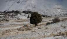 الثلوج غطت المرتفعات الجبلية في محافظة عكار وانقطاع عدد من الطرق