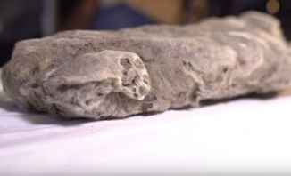 جثة أسد الكهف التي تم العثور عليها عمرها 50 ألف سنة