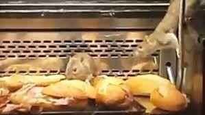 فيديو فاضح لفئران تأكل الخبز في أحد أهم المخابز الاسبانية