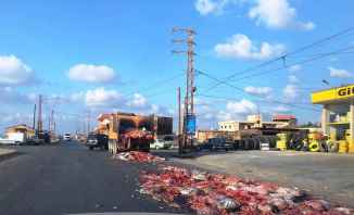 اليازا: انقلاب أحشاء بقايا دجاج على الطريق البحرية في منطقة العبدة- عكار
