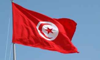 رئاسة تونس: الجملي سلم سعيد تركيبة الحكومة التونسية الجديدة