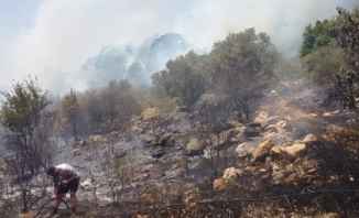 اندلاع حريق في جبال البطم وتوسع رقعة النيران في بسابا