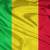 المجلس العسكري في مالي رفض تقرير الأمم المتحدة حول انتهاكات حقوق الإنسان
