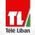 نقابة موظفي "تلفزيون لبنان" أعلنت الاضراب التحذيري حتى تحقيق مطالبها