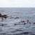 خفر السواحل اليوناني: وفاة 7 على الأقل إثر غرق زورق مهاجرين