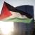 "النشرة": حملة لرفع العلم الفلسطيني رداً على مسيرة الأعلام الإسرائيلية