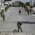 الصحة الفلسطينية: ارتفاع حصيلة المواجهات مع الجيش الإسرائيلي في الضفة الغربية إلى 240 قتيلا