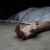 "النشرة": العثور على جثة امرأة سوريّة في سهل الفرزل