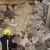 قتيلان و14 جريحًا إثر إنهيار مبنى في وسط العاصمة الأردنية عمان