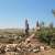 "النشرة": أمن الدولة أوقفت 3 أشخاص بجرم قطع اشجار في منطقة الحمامص - الخيام