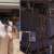الداخلية الكويتية: إصابة شخص إثر انهيار سقف أحد المطاعم في مجمع "الأفنيوز"