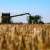 "نيويورك تايمز": اتفاقية تصدير الحبوب الى أوكرانيا تتضمن إزالة جزء من حقول الألغام