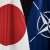 الخارجية اليابانية: سنعمل بثقة على تعزيز التعاون الاستراتيجي مع "الناتو"