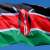 ارتفاع عدد ضحايا "مذبحة شاكاهولا" في كينيا إلى 226