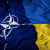 "الناتو" لا يستجيب لطلبات زيلينسكي للمساعدة لأن أوكرانيا ليست جزءًا منه