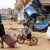 جهاز الطوارئ الليبي: مقتل أكثر من 2300 شخص اثر الفيضانات في درنة
