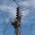 سرقة الشبكة النحاسية لـ"كهرباء لبنان" في بلدة علمان بإقليم الخروب