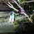 "النشرة": سقوط شجرة كبيرة في صيدا نتيجة الرياح القوية والأضرار مادية