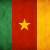 "أ ف ب": مقتل 11 شخصًا كانوا على متن طائرة تحطمت في غابة وسط الكاميرون