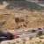 معلومات عن استهداف سيارة على طريق دمشق بيروت الدولي وسقوط اصابات
