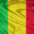 المجلس العسكري الحاكم في مالي أعلن احباط محاولة انقلابية