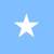 رئيس الصومال شكر بايدن على قراره بإعادة الوجود العسكري الأميركي إلى أراضيها