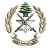 الجيش: توقيف مطلوب في صحراء الشويفات لارتكابه جرائم مختلفة