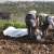 "النشرة": العثور على جثة شاب استشهد بغارة إسرائيلية استهدفت منزله في الضهيرة أمس