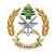 الجيش: توقيف 9 أشخاص لحيازتهم أسلحة وكمية من المخدرات في طرابلس وحي الشراونة