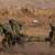 الجيش الإسرائيلي: مقتل قائد بغرفة عمليات اللواء 401 ليرتفع عدد الجنود القتلى بغزة إلى 594 منذ 7 تشرين الأول