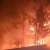 رئيس بلدية بقاعصفرين ناشد التدخل لإخماد الحريق الذي يهدد مساحات الصنوبر في حرش بقاعصفرين