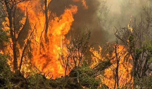 72 ألف حريق في الغابات الشاسعة في الأمازون
