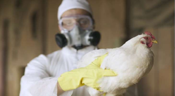 محافظ موسكو: اتخذنا تدابير وقائية بسبب انتشار إنفلونزا الطيور في بعض مناطقها
