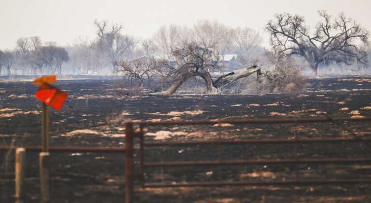 مساحة حريق الغابات في ولاية تكساس الأميركية بلغت نحو 344 ألف هكتار