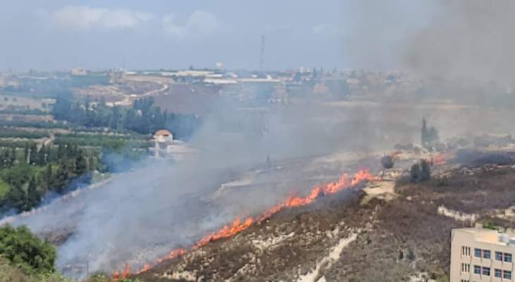 اخماد حريق التهم أشجارا حرجية عند حدود بلدة البابلية