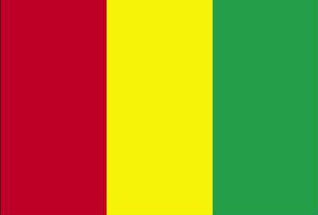 مقتل 2 وإصابة 33 في اشتباكات في غينيا