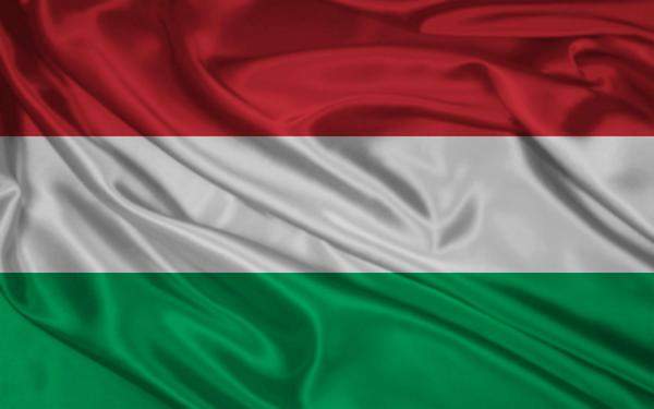 الشرطة المجرية تطارد شخصا فجر قنبلة في إثنين من عناصرها 