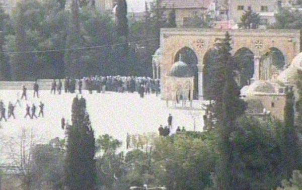 فلسطينيون يطردون أردنياً قبل دخوله المسجد الأقصى ضمن وفد إعلامي عربي 